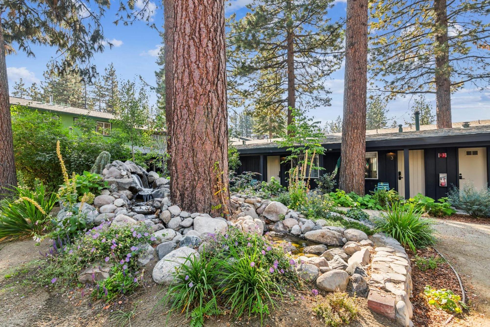 South Lake Chalet-Boutique Suite-Minutes To Heavenly & Lake Tahoe South Lake Tahoe Exteriör bild